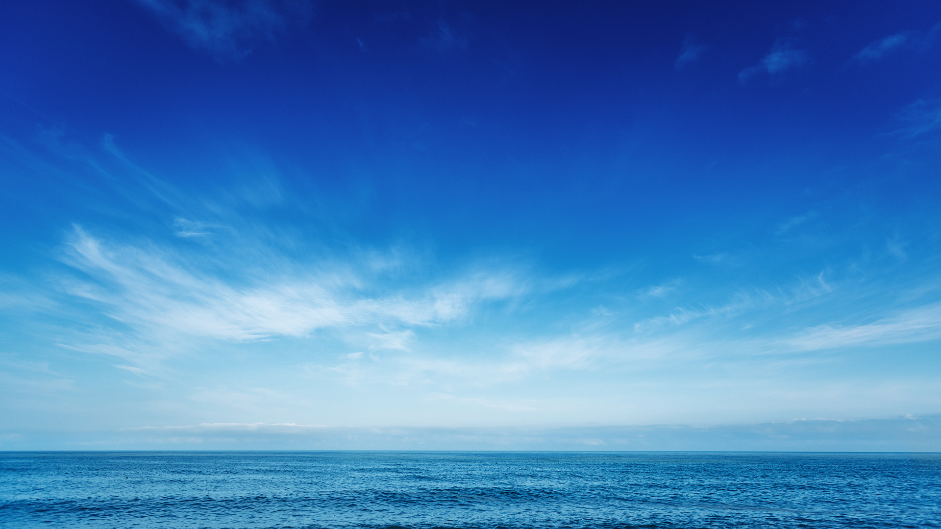 OCEAN Life
