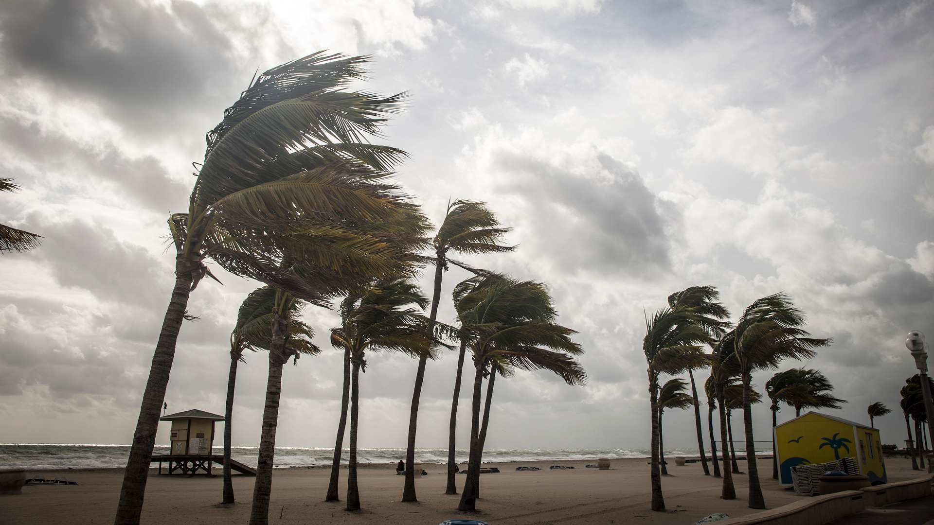 WHIRLING Winds