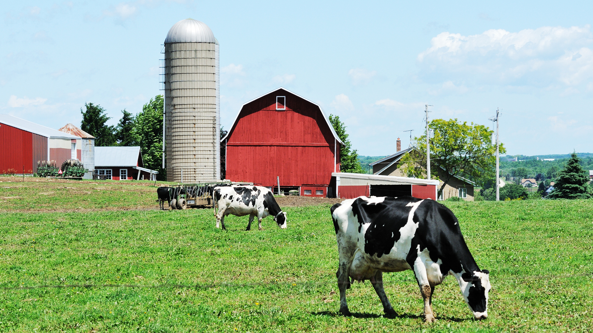 FARM Life