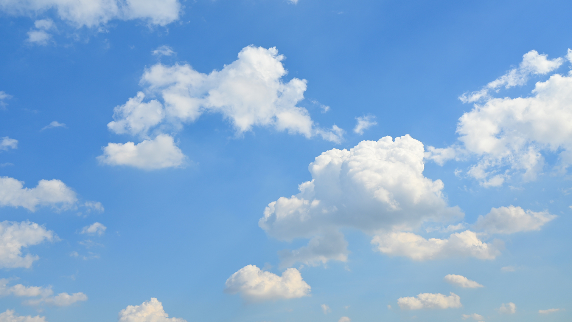 LOOK Up at the Sky!