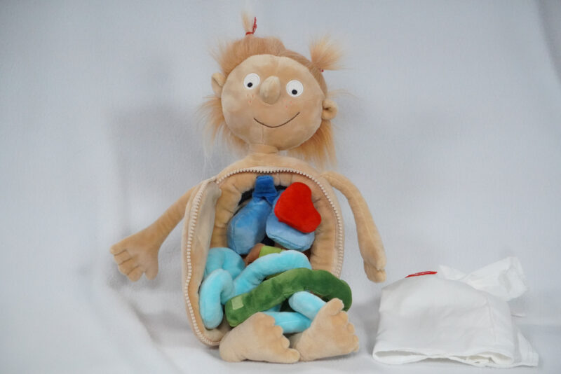 Soft Doll- Rosi the Little Patient