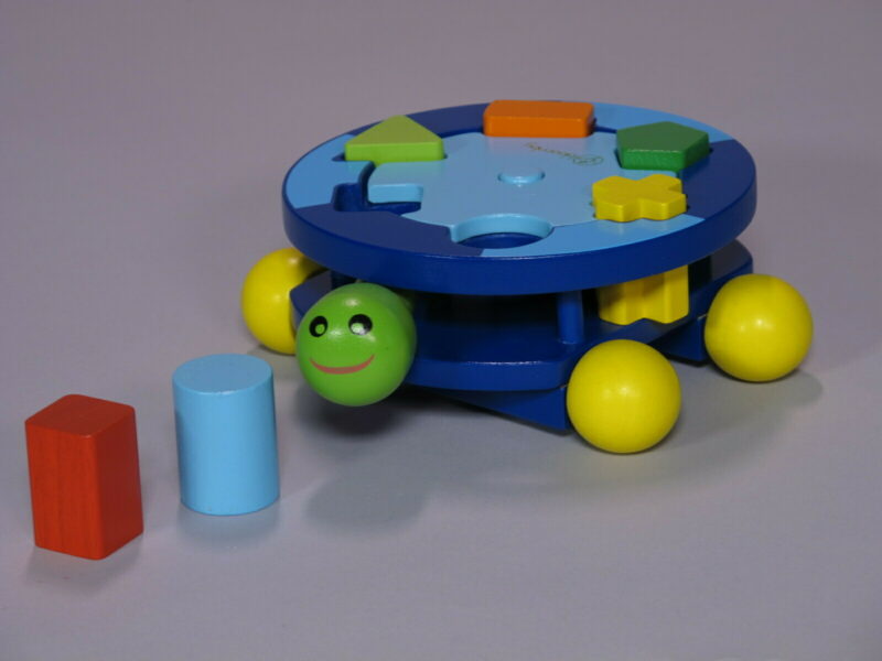 Turn and Fit Turtle Shape Sorter